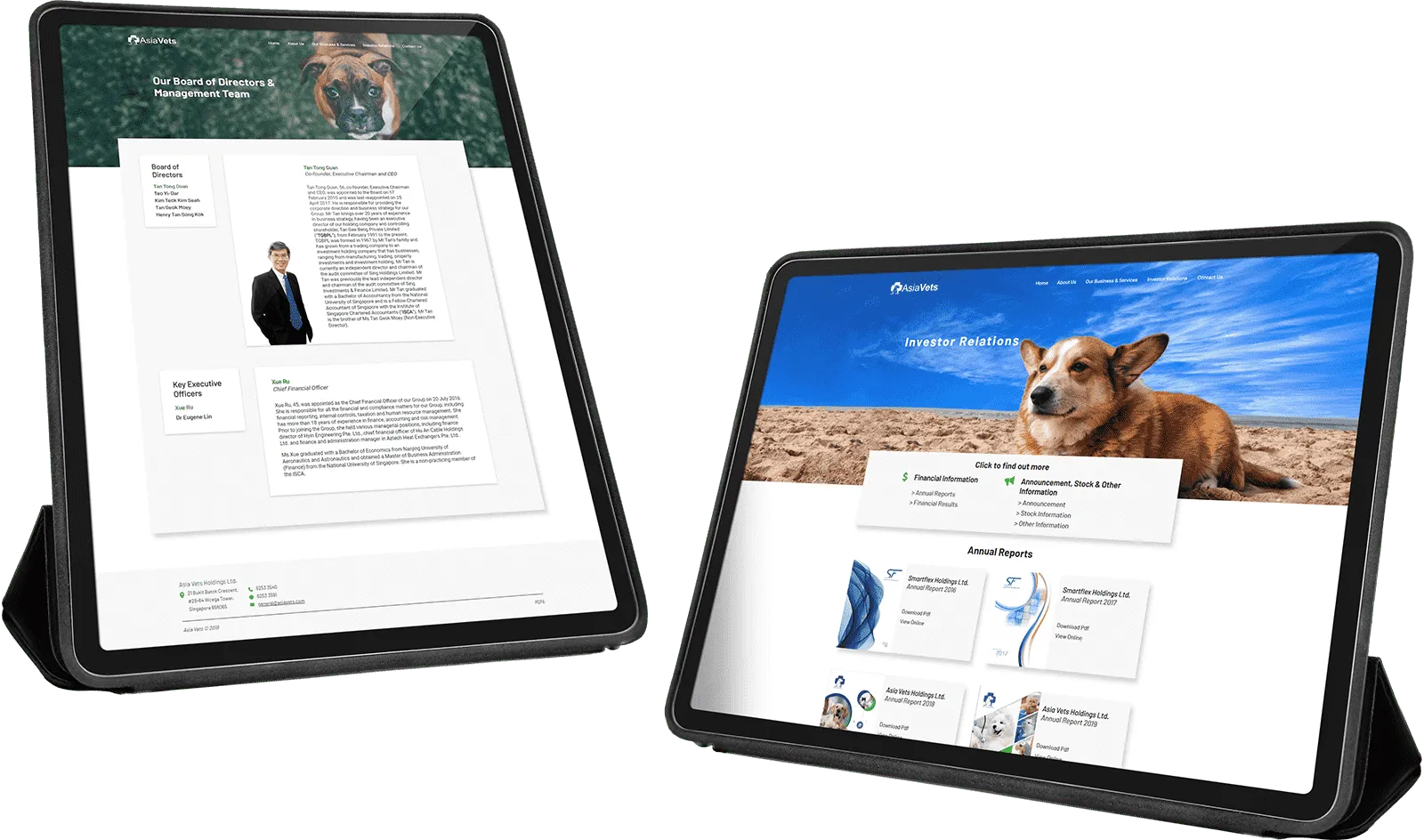 AsiaVets — veterinary booking platform website